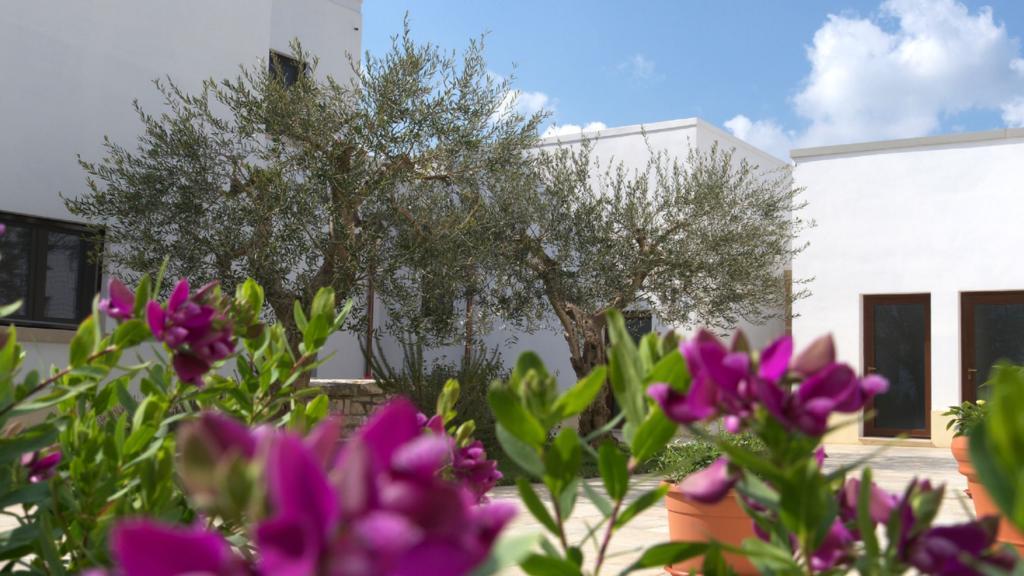 Tenute D'Onghia Gioia Del Colle Εξωτερικό φωτογραφία